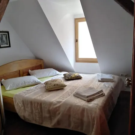 Pensiunea Lelila 2*