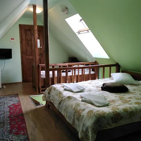 Guest house Pensiunea Lelila 2*