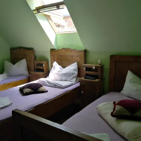 Guest house Pensiunea Lelila Sighisoara