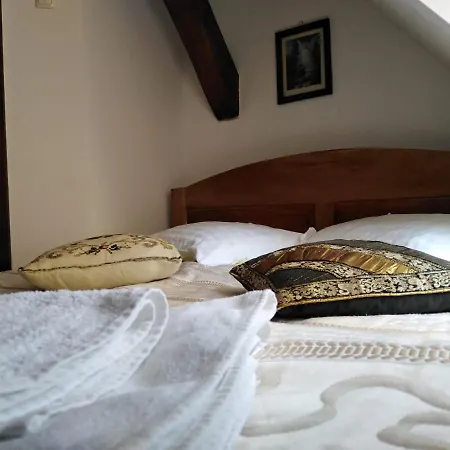 Casa de hóspedes Pensiunea Lelila