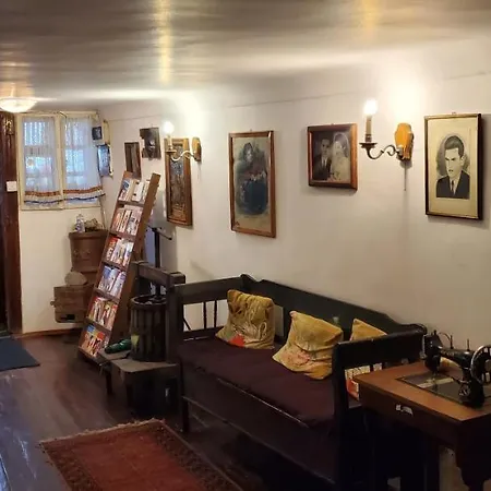 Guest house Pensiunea Lelila Sighisoara
