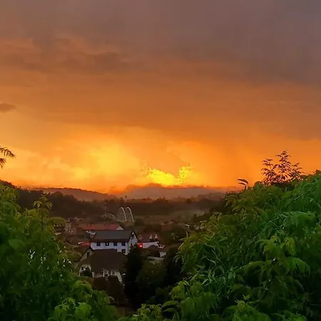 Pensiunea Lelila Sighisoara