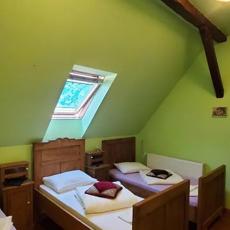 Pensiunea Lelila Guest house