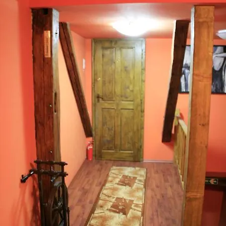 Casa de hóspedes Pensiunea Lelila