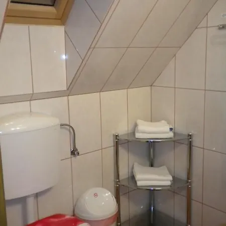 Casa de hóspedes Pensiunea Lelila 2*