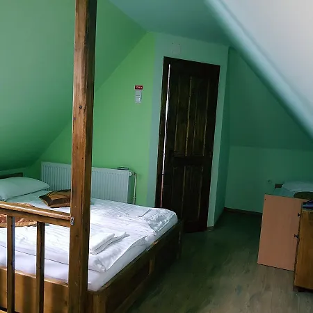 Guest house Pensiunea Lelila 2*