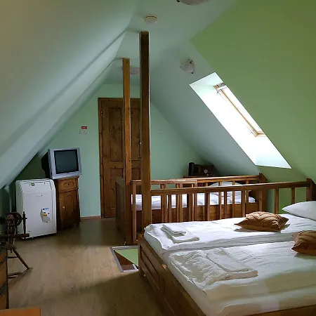 Pensiunea Lelila Guest house 2*