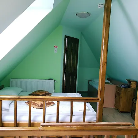 Pensiunea Lelila Guest house
