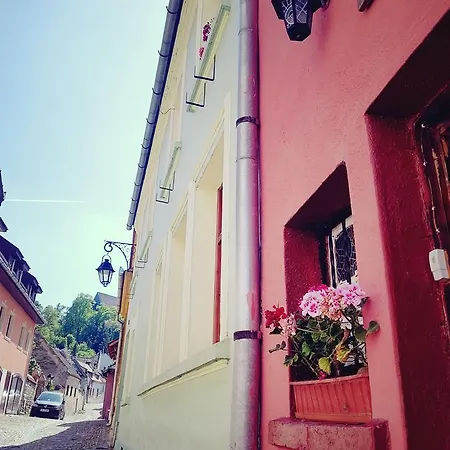 Pensiunea Lelila Guest house